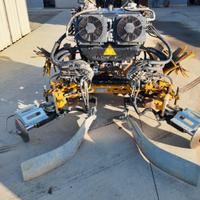 Falconero Interceppo