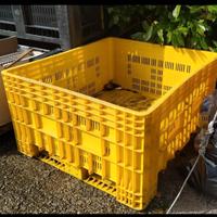 Contenitore in plastica multiuso 