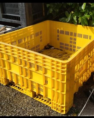 Contenitore in plastica multiuso 