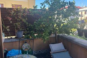 Appartamento - Roma