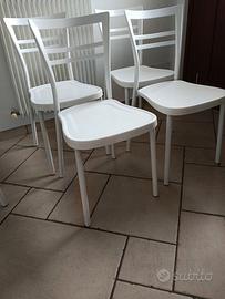 Sedie Calligaris