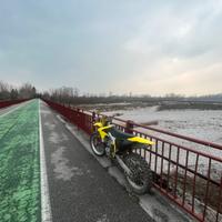 Suzuki rmz 450