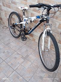 bicicletta  montàinbike