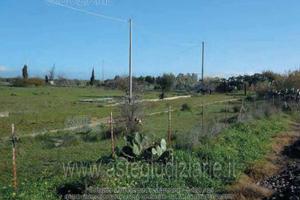 Terreno Agricolo Villaspeciosa [A2779562]