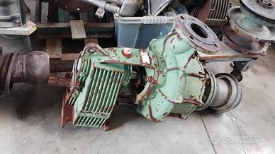 Pompa irrigazione caprari 80/ 2 giranti