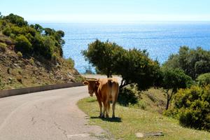 Cardedu,tra mare, natura e relax