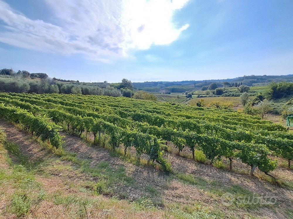Podere in collina Terricciola Pisa - Vista 5