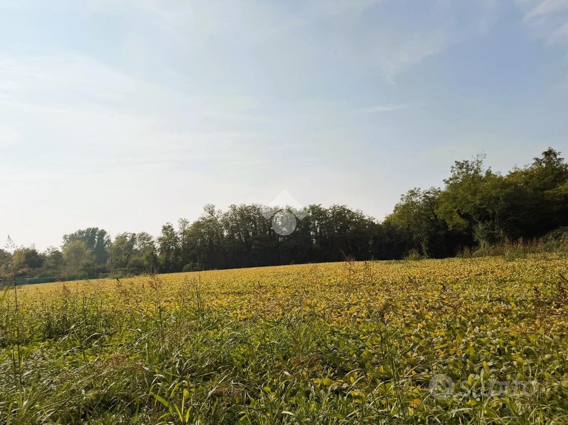 TER. AGRICOLO A BERNAREGGIO - Vista 5
