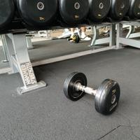 Manubri Palestra Gommati