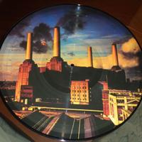 PINK FLOYD - Animals - LP/33 rpm 1977 Picture Disc