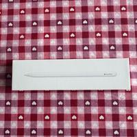 Apple Pencil Pro