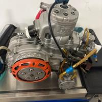 Motore kart tm kz10c