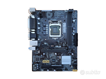 Scheda madre Asus H81M-C