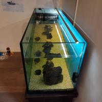 Acquario