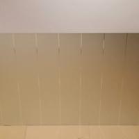 Pannello in vetro decorativo satinato