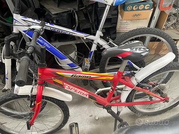 Biciclette due misure