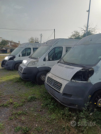 6 furgoni FIAT DUCATO BUS con SPONDA IDRAU