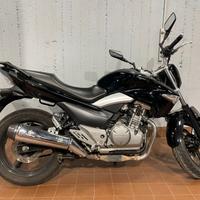 SUZUKI INAZUMA 250