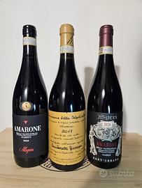 vino Amarone Valpolicella premium 