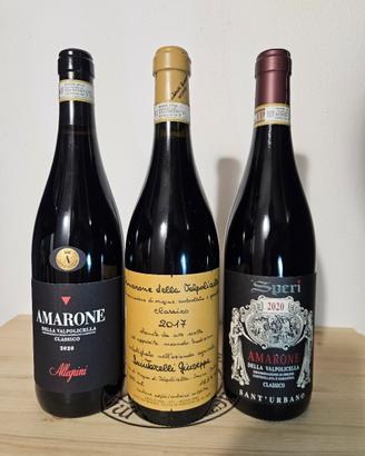 vino Amarone Valpolicella premium 