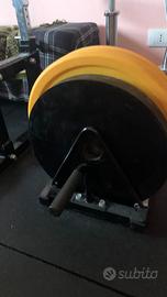 Powerlifting dischi artigianali 20 kg