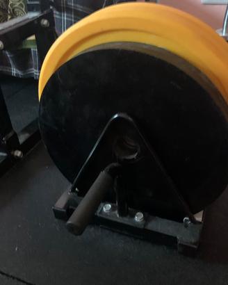 Powerlifting dischi artigianali 20 kg