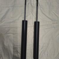 ammortizzatori smart 451