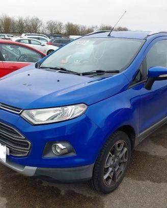 RICAMBI USATI AUTO FORD EcoSport Serie M1JJ Benzin