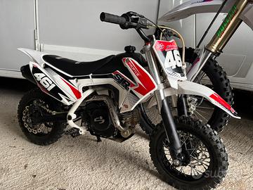 Pitbike profive 50