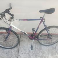 Bicicletta Trek anni 90