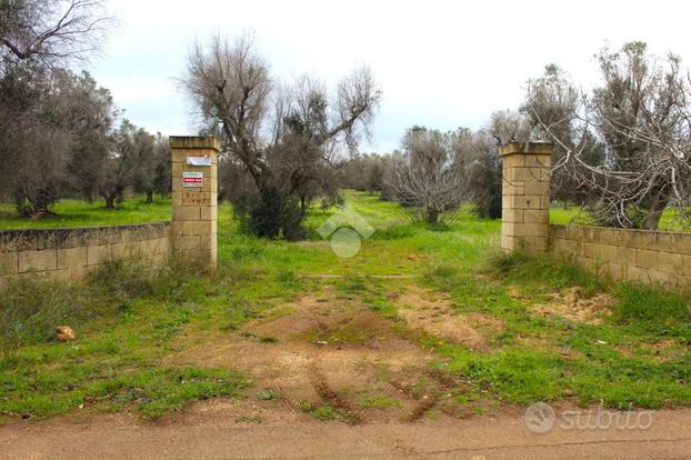 TER. AGRICOLO A CAROVIGNO