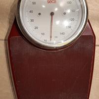 Bilancia professionale 