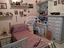 Immagine 14