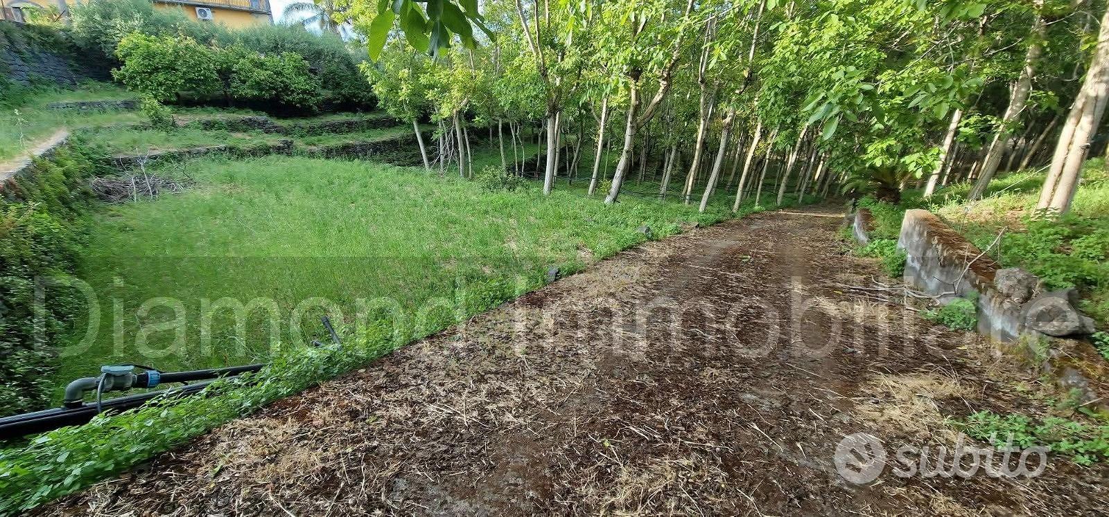 Fabbricato con terreno a Piedimonte Etneo - Vista 5