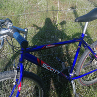 Scott timber originale per intenditori