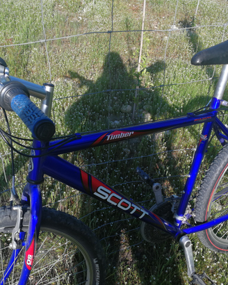 Scott timber originale per intenditori