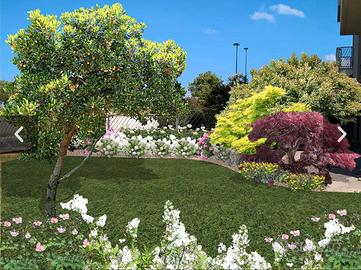 Giardiniere tutto fare. e pitture interne