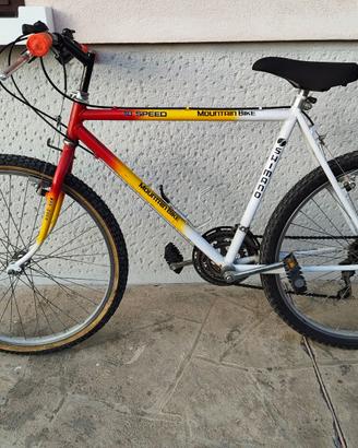 bici uomo