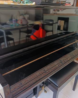 Pianoforte colleges and conservatories