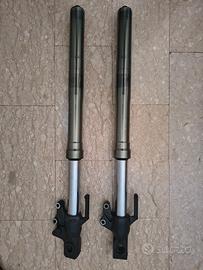 forcelle Kawasaki Versys 650 2007 al 2014 er6 vari