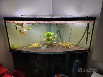 acquario angolo completo 