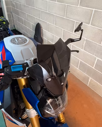 Cupolino sport per BMW F900R + Sstaffa
