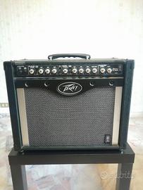 Peavey Envoy 110