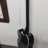 Chitarra elettroacustica  Ibanez