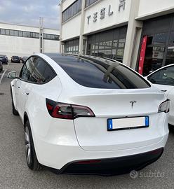 TESLA Y standard range