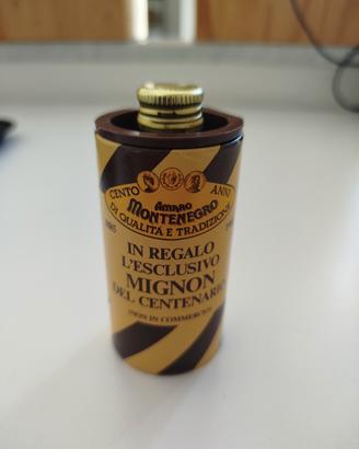 mignon Amaro Montenegro 