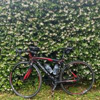 wilier triestina pro race