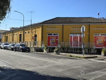 Ex consorzio Agrario, Santarcangelo di R