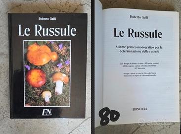 libro le Russole