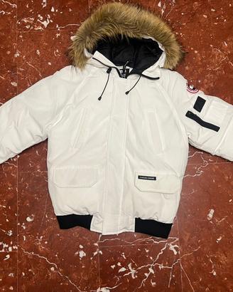 canada goose